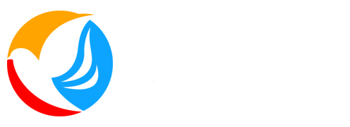 游丸游戏